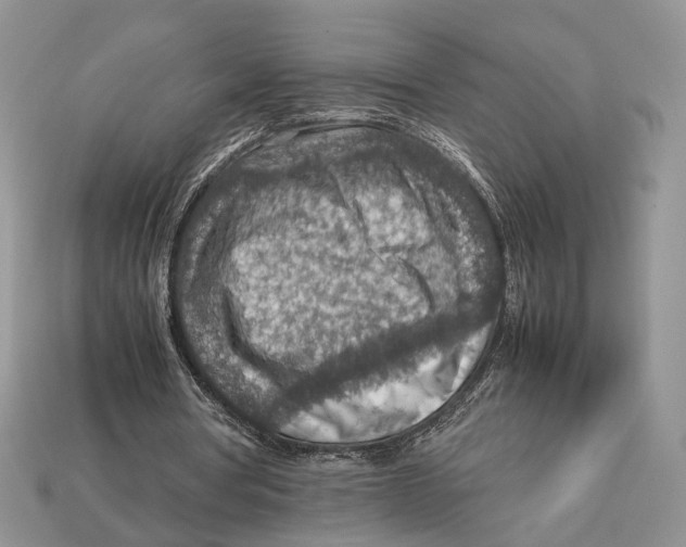 X0000112950386200909211159