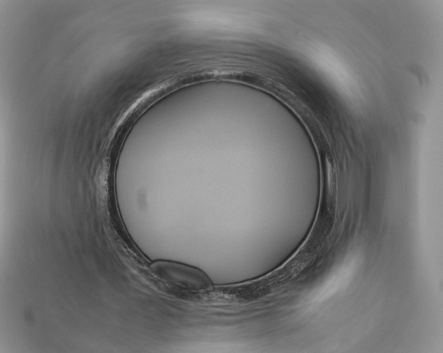 X0000112950387200909211159