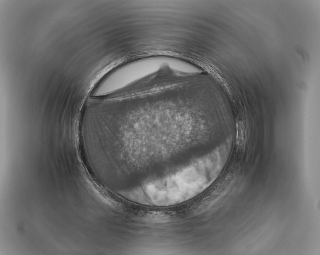X0000112950390200909211159