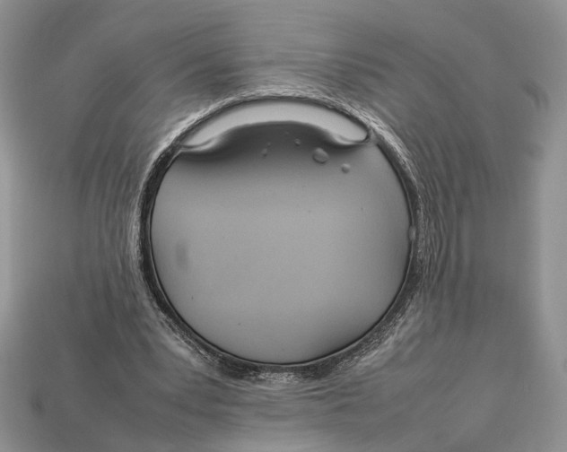 X0000112950391200909211159