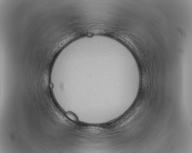 X0000112950393200909211159