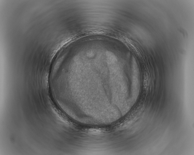 X0000112950394200909211159