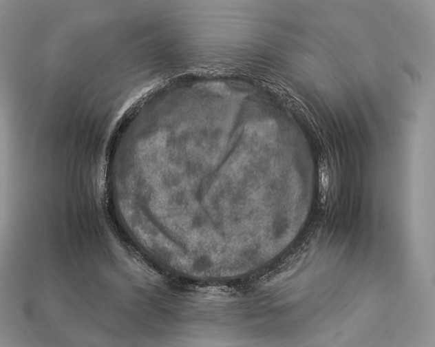 X0000112950396200909211159