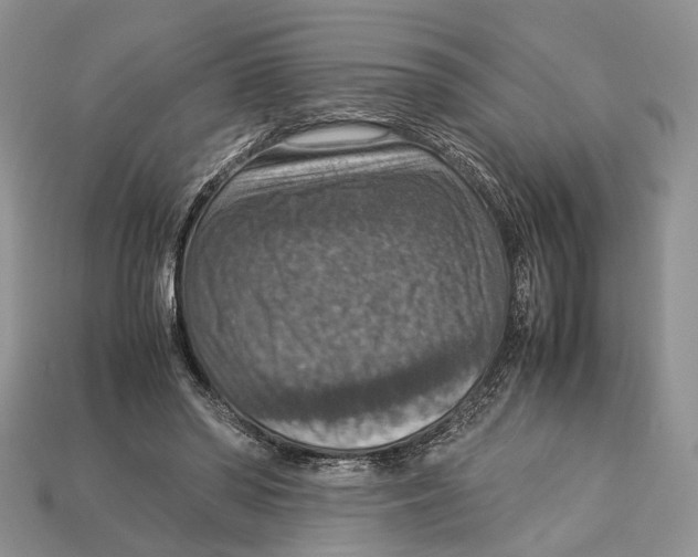 X0000112950398200909211159