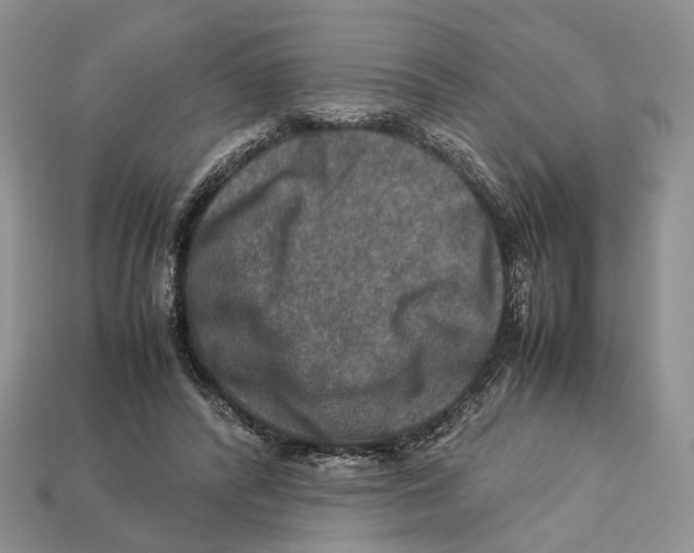 X0000112950400200909211158