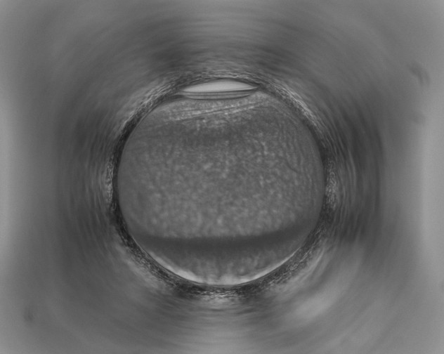 X0000112950402200909211158