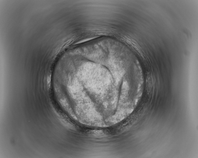 X0000112950406200909211158