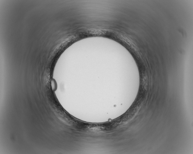 X0000112950407200909211158