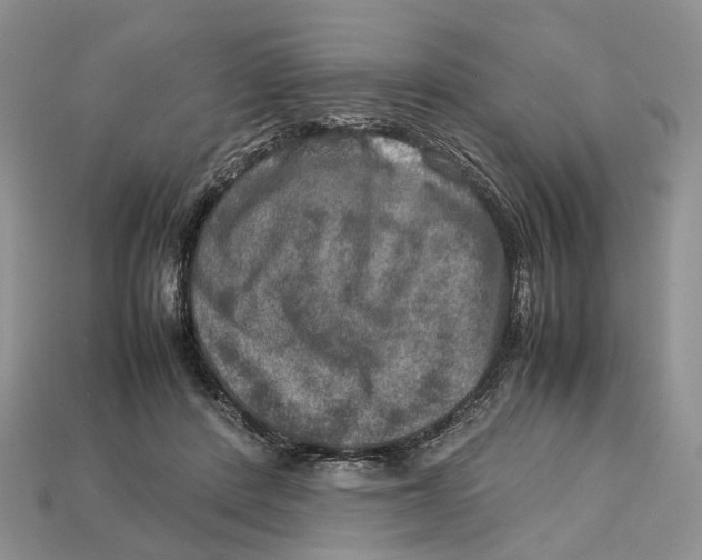 X0000112950408200909211158
