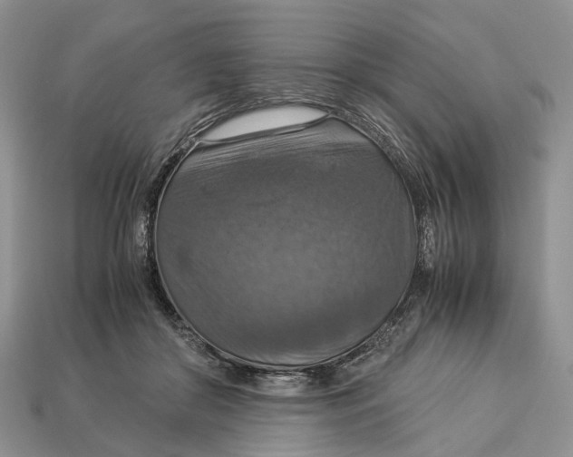 X0000112950410200909211158