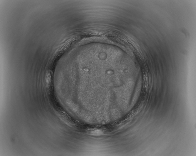X0000112950412200909211158