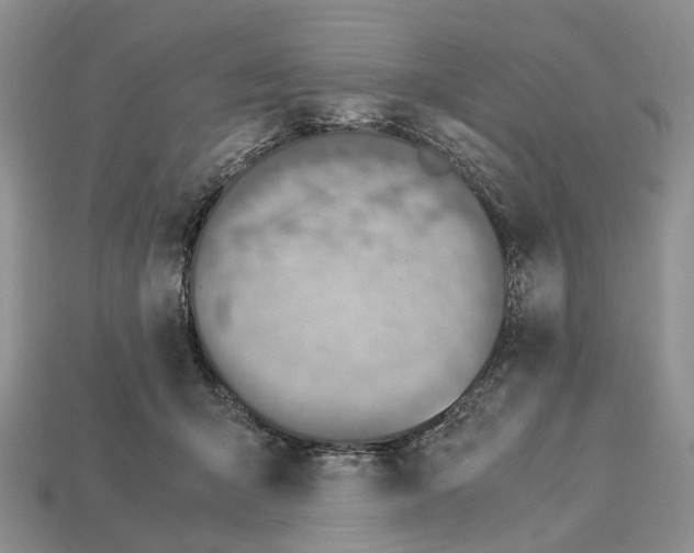X0000112950415200909211158