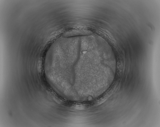 X0000112950416200909211158
