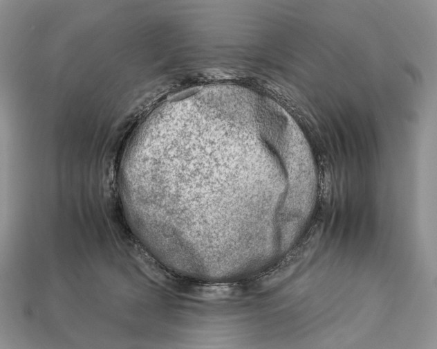 X0000112950418200909211158