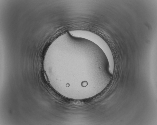 X0000112950421200909211158