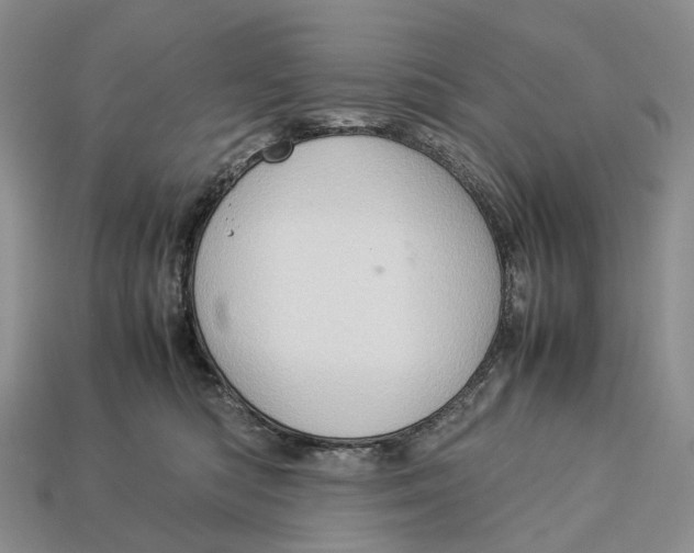 X0000112950422200909211158