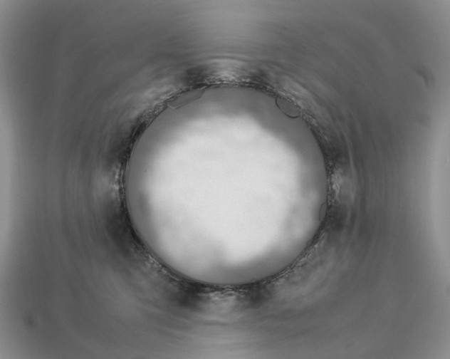 X0000112950423200909211158