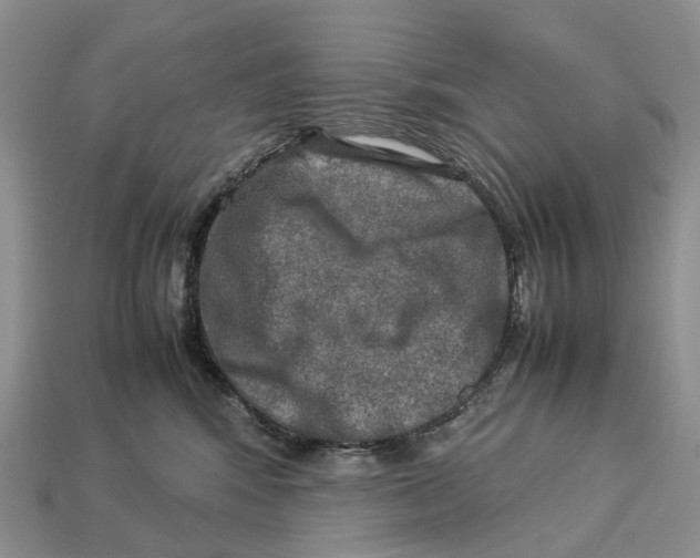 X0000112950424200909211158