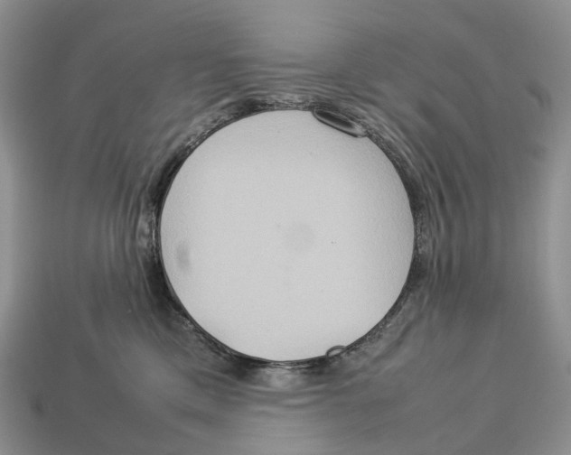 X0000112950425200909211158