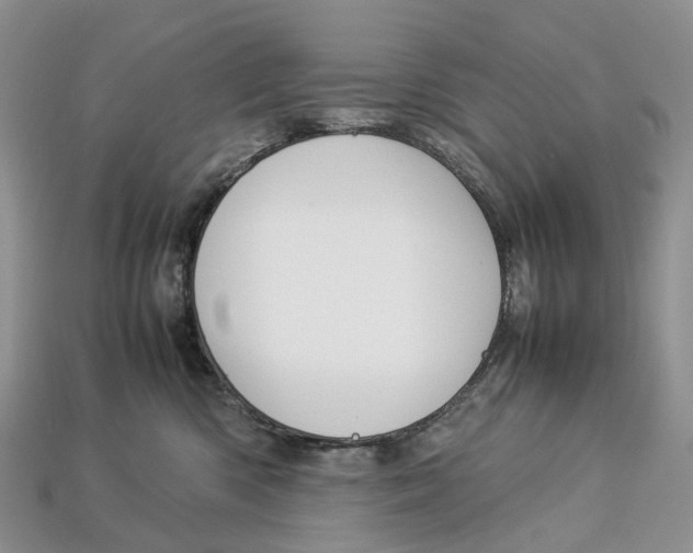 X0000112950426200909211158