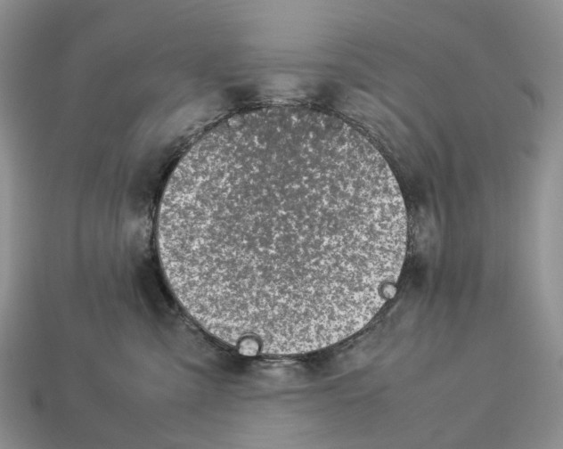 X0000112950427200909211158