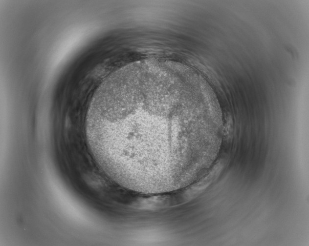 X0000112950430200909211158