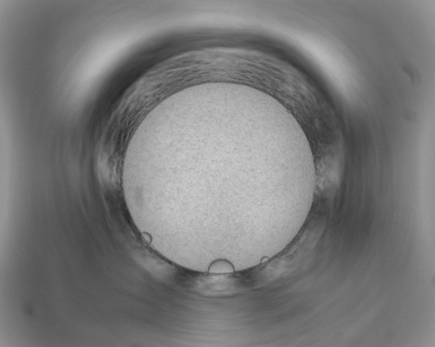 X0000112950431200909211158