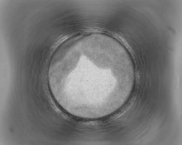 X0000112950433200909211157