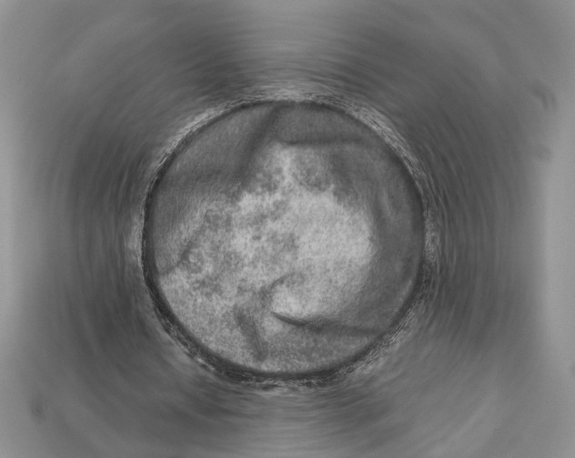 X0000112950434200909211157