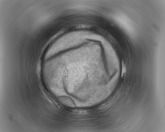 X0000112950435200909211157