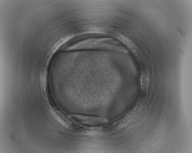X0000112950436200909211157