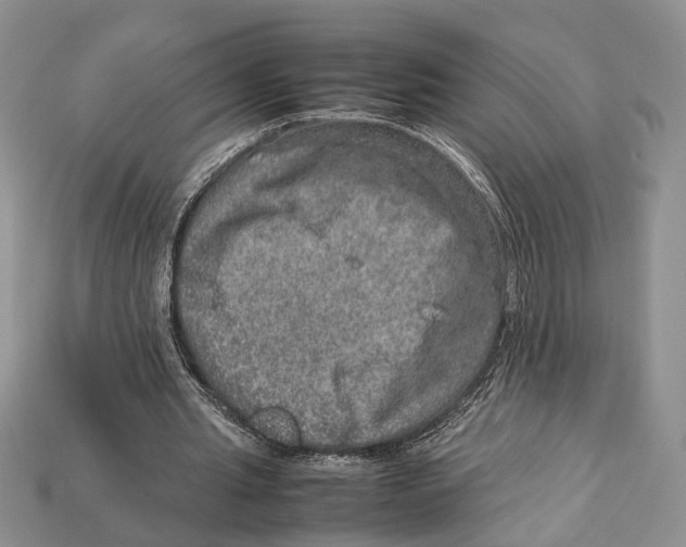 X0000112950437200909211158