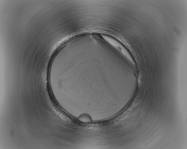 X0000112950438200909211158