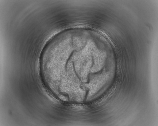 X0000112950439200909211158