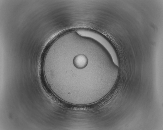 X0000112950440200909211158