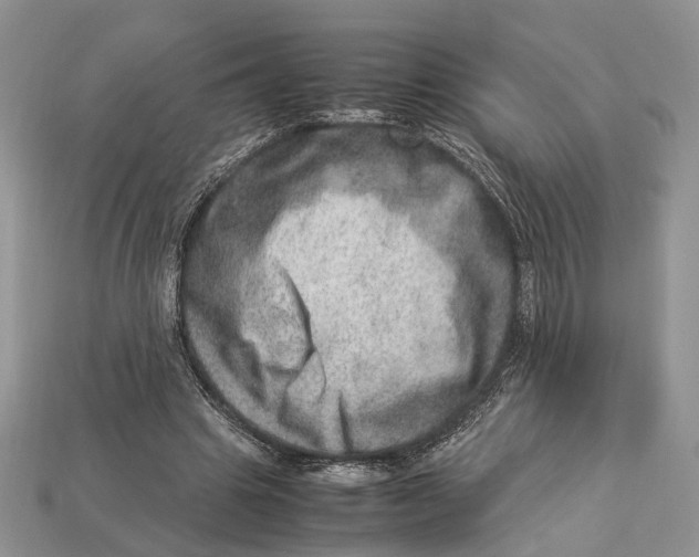 X0000112950441200909211158