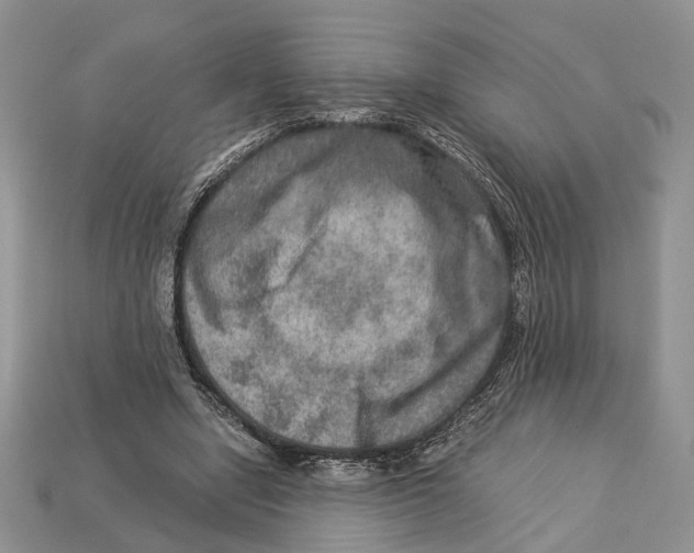 X0000112950442200909211158