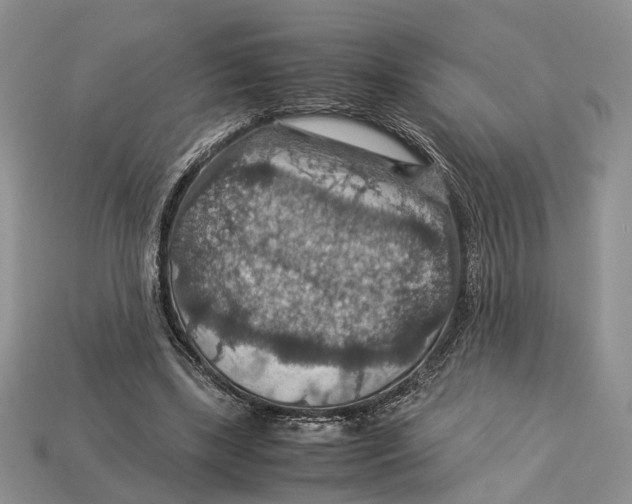 X0000112950443200909211158