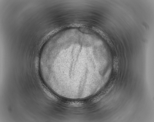 X0000112950445200909211158