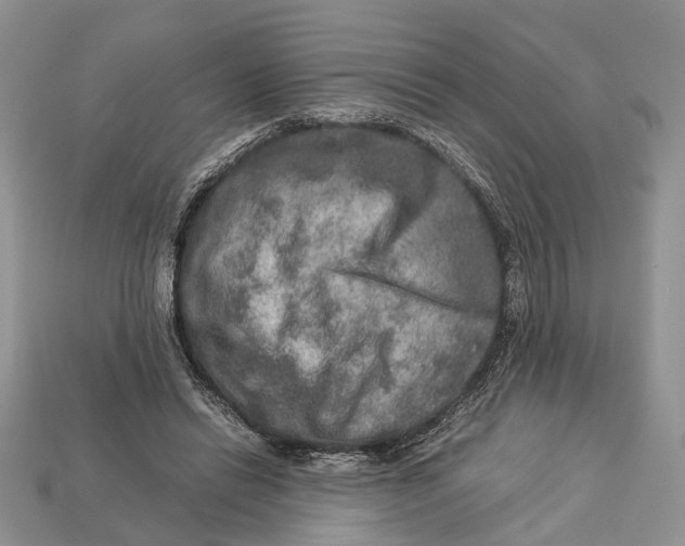 X0000112950446200909211158