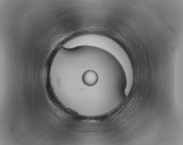 X0000112950448200909211158