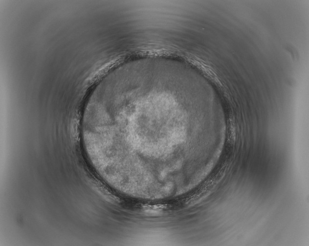 X0000112950450200909211158