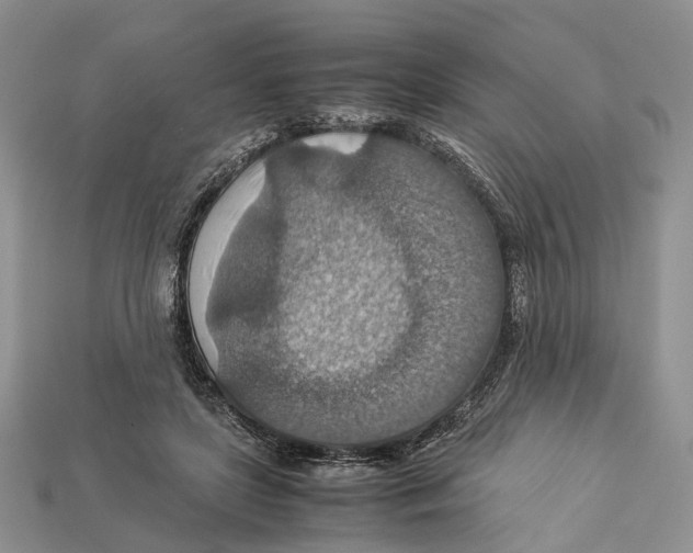 X0000112950451200909211158