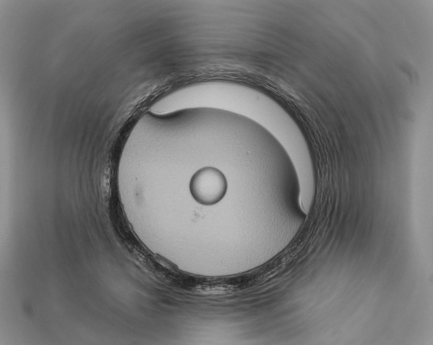 X0000112950452200909211158