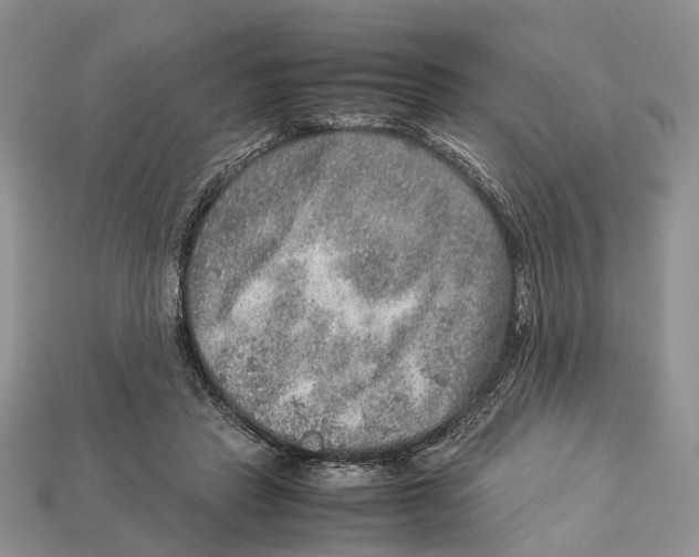 X0000112950453200909211158