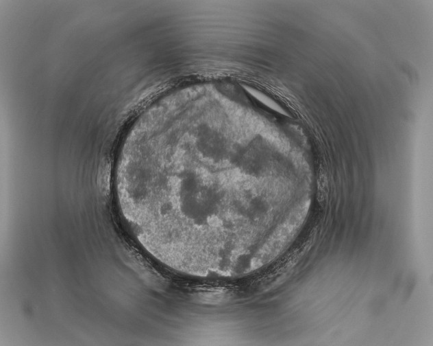 X0000112950454200909211158