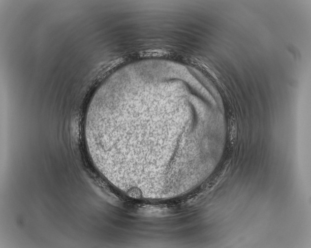 X0000112950455200909211158
