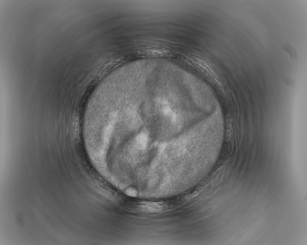 X0000112950457200909211158