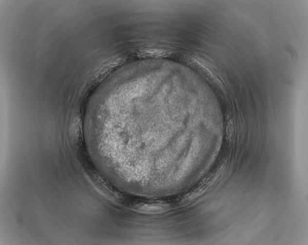 X0000112950459200909211158