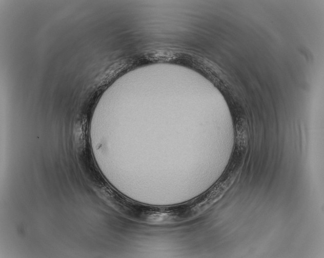 X0000112950460200909211158